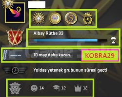 FACEİT+4 MADALYA 134 WİN 435 SAAT SEÇKİN