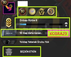 FACEİT+14K OYUN+4 MADALYA 16 WİN 37 SAAT
