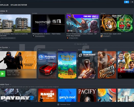8 YILLIK EMEK STEAM HESABI!
