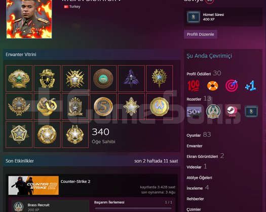 8 YILLIK EMEK STEAM HESABI!