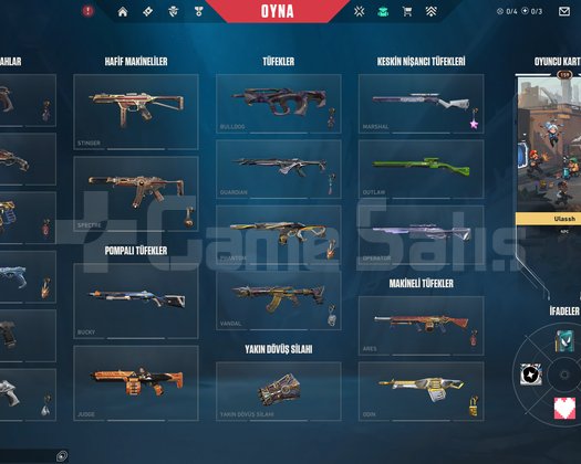Champions 2024 + Arcane | 43 Premium Skinli Hesap