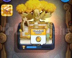 1088 LVL 9Bin Kupa 13 lvl ronin temiz hesap