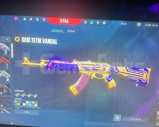 3 kere immo olmus hesap rgx kelebek 6 vandal