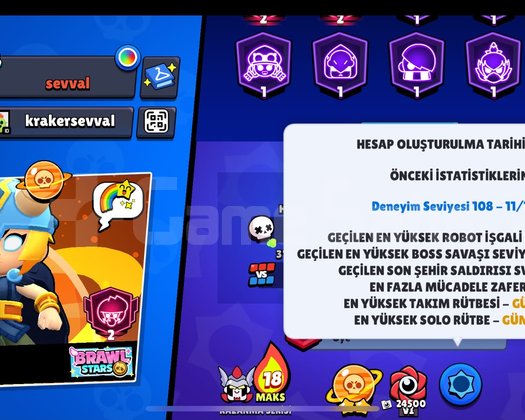 KOLEKSİYONLUK 2020 HESAP