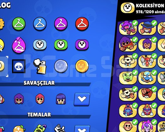 BRAWL STARS 2020 E-SPORCU HESABI