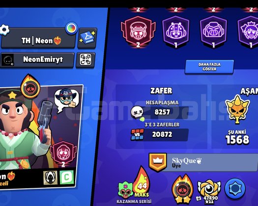 BRAWL STARS 2020 E-SPORCU HESABI
