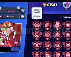 61K 20 Adet prestij2 li char