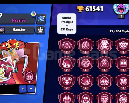 61K 20 Adet prestij2 li char