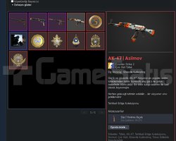 827 Saatli ak-47 asiimov skin 6 madalyalı prime