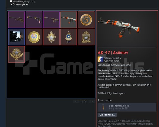827 Saatli ak-47 asiimov skin 6 madalyalı prime