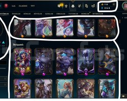 375 LEVEL / 558 SKİN / FUL HERO +MAİL +TELEFON
