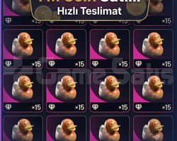 1M Coin | Stok Bol