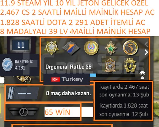 8 MADALYALI 39 LV CS 2 2.467 SAATLİ DOTA 2 1.828 S