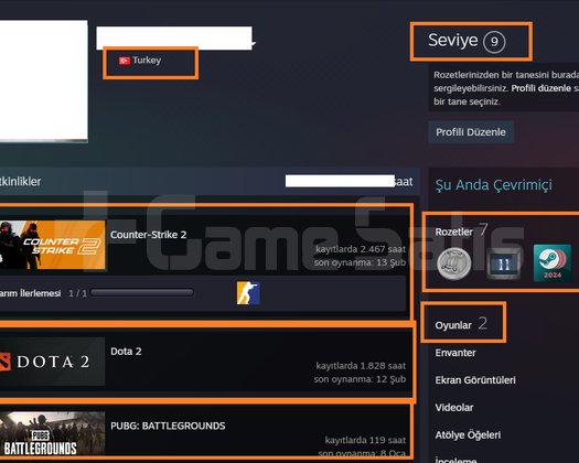 DOTA 2 1.828 SAATLİ 291 İTEM AD MAİLLİ MAİNLİK HES
