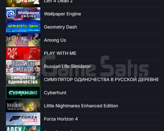 RAFT ETS 2 Dying Light 8750 TL STEAM OYUN ENVANTER