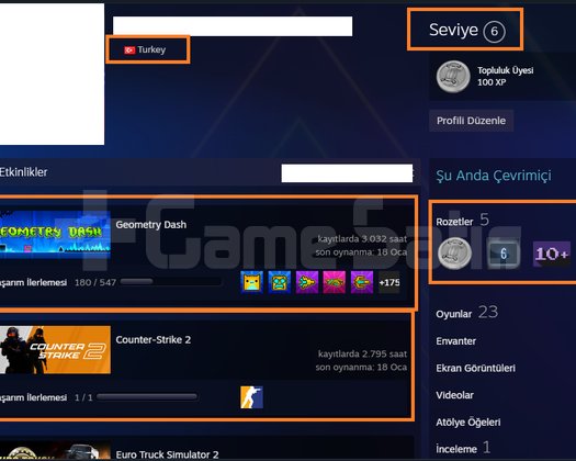 RAFT ETS 2 Dying Light 8750 TL STEAM OYUN ENVANTER