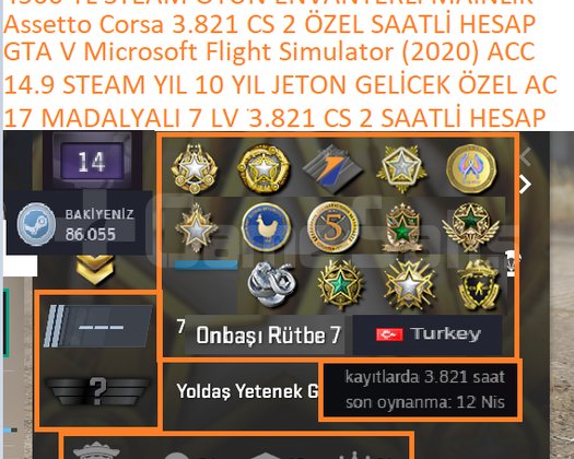 17 MADALYALI 7 LV 3.821 CS 2 SAATLİ GTA V Microsof