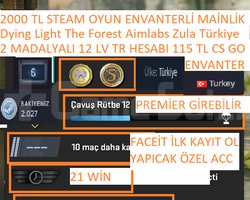 2 MADALYALI 12 LV TR HESABI 115 TL CS 2 ENVANTERLİ