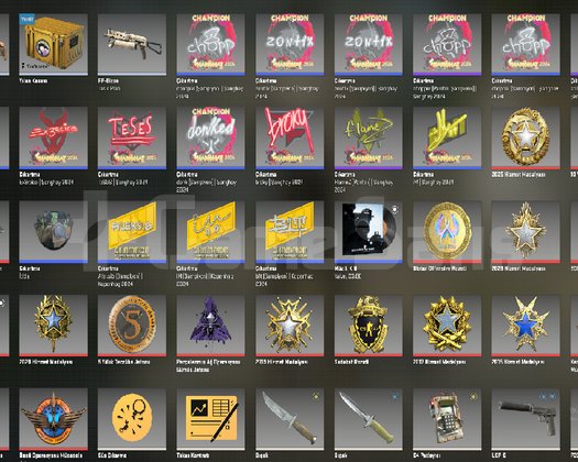 GTA V DAYZ BFE 3 ETS 2 Ready or Not No Mans Sky A