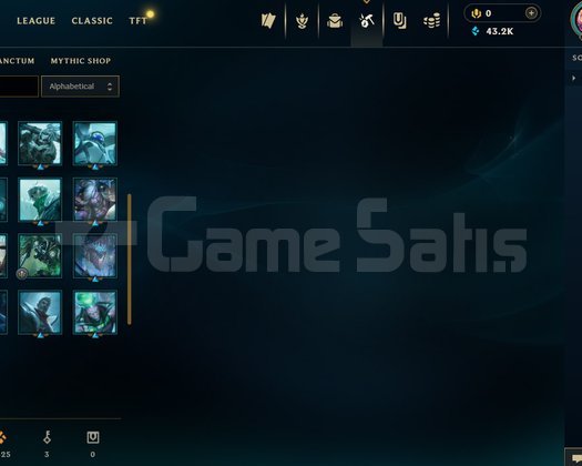 EUW 65 WR 424 LP HESAP