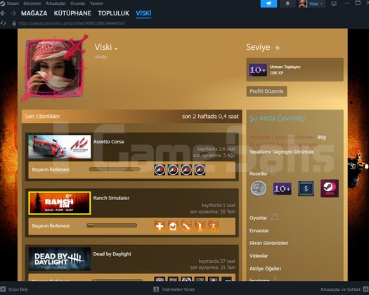 Steam satılık hesap