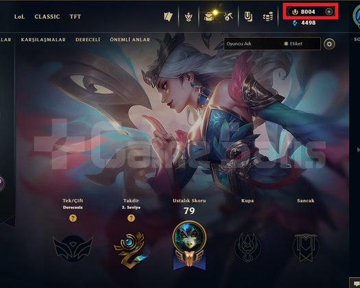 EUW 8000 RP 120 HERO 84 SKIN 2013 REG ACC