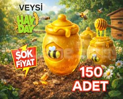 KAMPANYA 150 bal