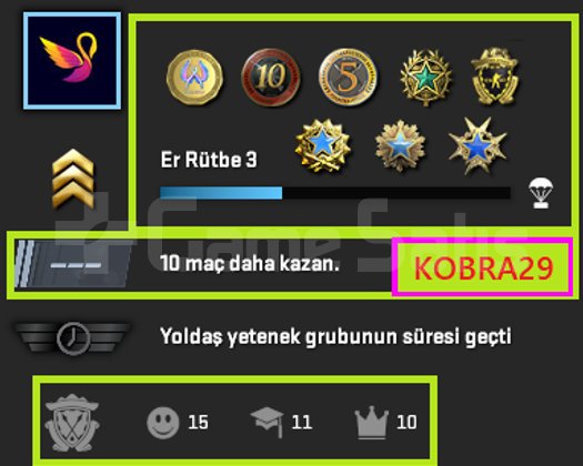 FACEİT+ 11 MADALYALI 906 WİN 2360 SAAT SEÇKİN