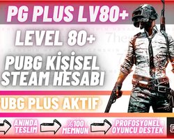 PG PLUS LVL 80+ HERŞEYİ DEĞİŞEN STEAM HESABI