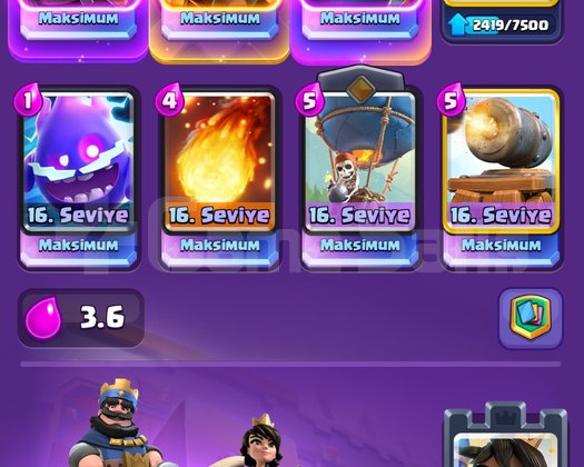 14 K 24 Evrimli 1840 level