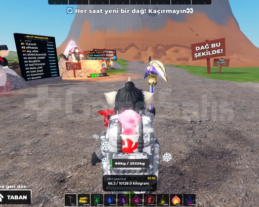 Roblox 5200 envanter değerli hesap ölü satış