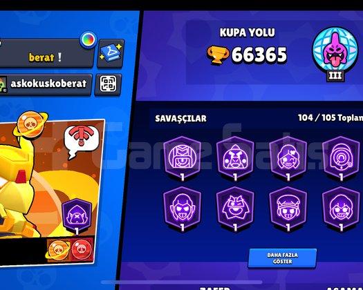 SEVİYELİ UYGUNA BRAWL STARS HESABI