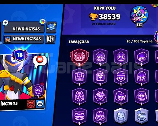 38,5 K KUPA 18 PRESTİJLİ BOL KAYNAKLI HESAP