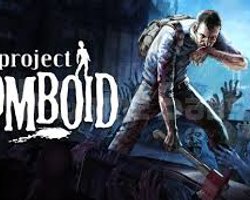 Project Zomboid + Garanti