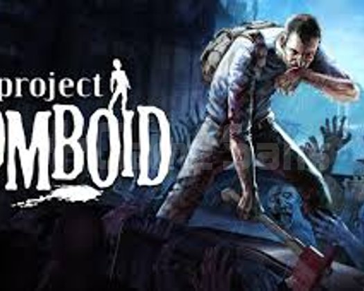 Project Zomboid + Garanti