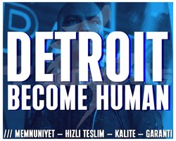Detroit Become Human + OTO TESLİMAT