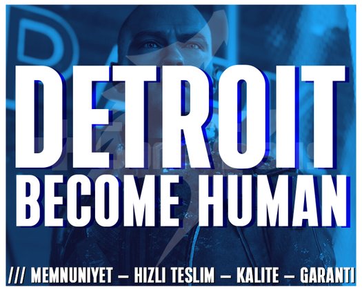 Detroit Become Human + OTO TESLİMAT