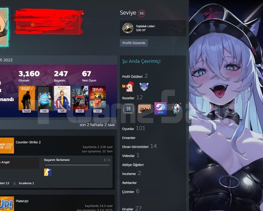 10 Yıla Aşkın Steam Hesabı Ciddi Alıcılar