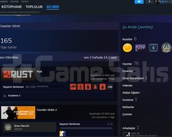 7K SAAT RUST VE 11K SAAT CSLİ STEAM HESABI