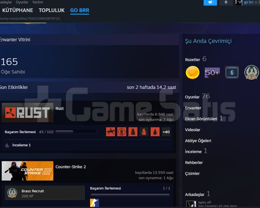 7K SAAT RUST VE 11K SAAT CSLİ STEAM HESABI