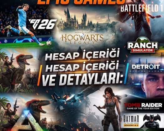 Premium Epic games hesabı 30 oyun