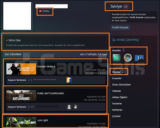 2 MADALYALI 8 LV 16.9 YIL DİGİT PAYDAY 2 1250 TL S