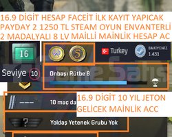 2 MADALYALI 8 LV 16.9 YIL DİGİT PAYDAY 2 1250 TL S