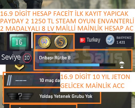 2 MADALYALI 8 LV 16.9 YIL DİGİT PAYDAY 2 1250 TL S