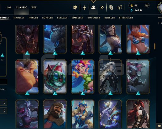 403 LEVEL / 181 SKİN / FUL HERO +MAİL +TELEFON