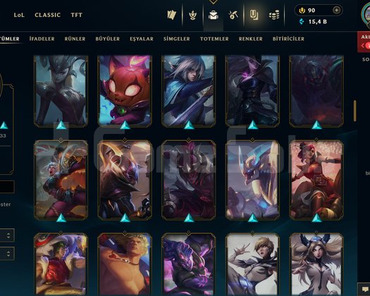 293 LVL + 115 KOSTÜM + 139 HERO + 15K ÖZ + MAİL!