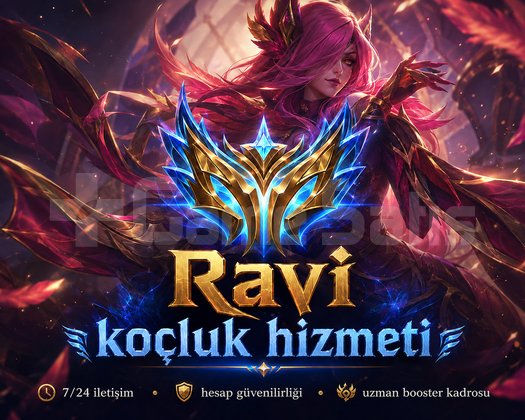 Challanger ekipten koçluk hizmeti 7/24 ulaşım.