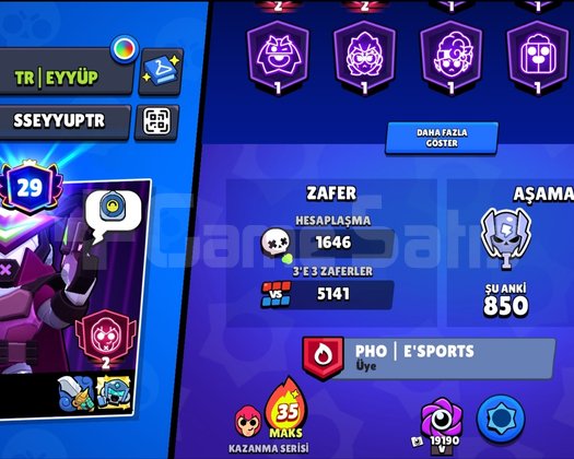 50k PROFESYONEL HESAP 30 PRESTİJ 25 MAX KARAKTER