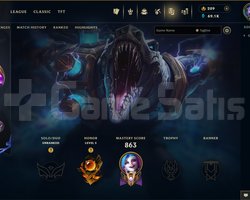 TR | 335 SKİN | UNRANKED