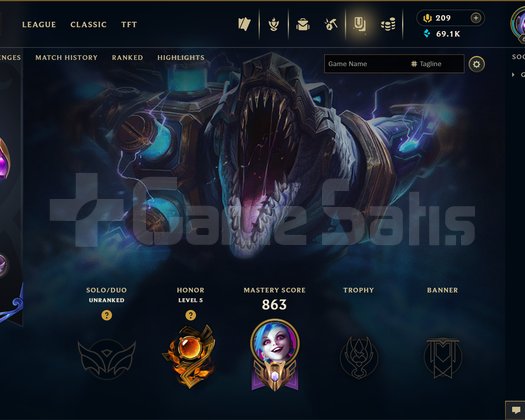 TR | 335 SKİN | UNRANKED
